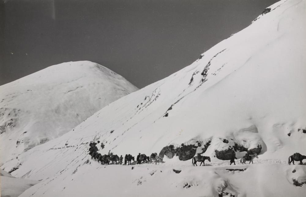 图片[1]-photographic print(black and white); album BM-1986-0313-0.1.223-China Archive